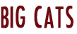 BIG CATS